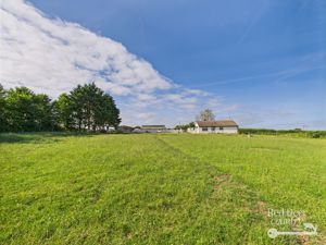 Paddock- click for photo gallery